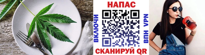 Cannafood конопля  Зима 
