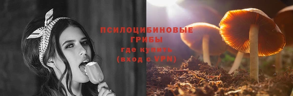 сатива Володарск