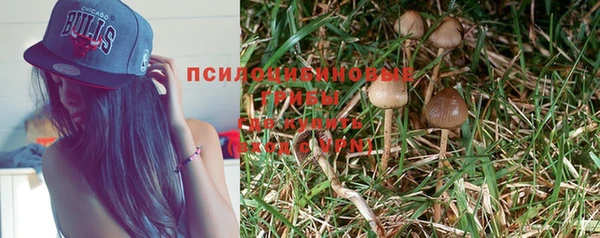 mdpv Вяземский