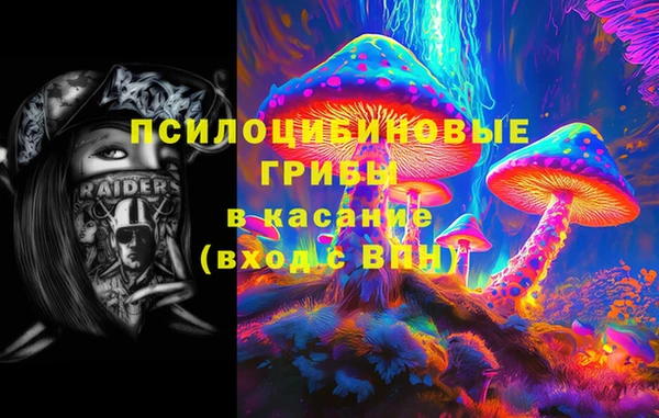 mdpv Вяземский