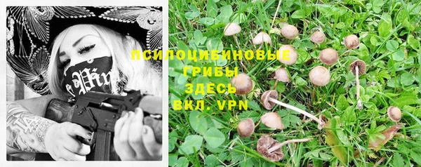 бошки Николаевск-на-Амуре
