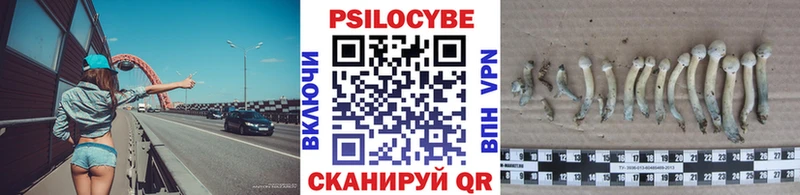 Псилоцибиновые грибы мицелий  Зима 